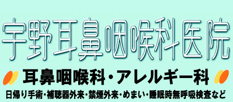 宇野耳鼻咽喉科医院